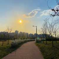 산책하러 가기좋은 공원, 자연을 느낄수 있는 김포핫플🍃