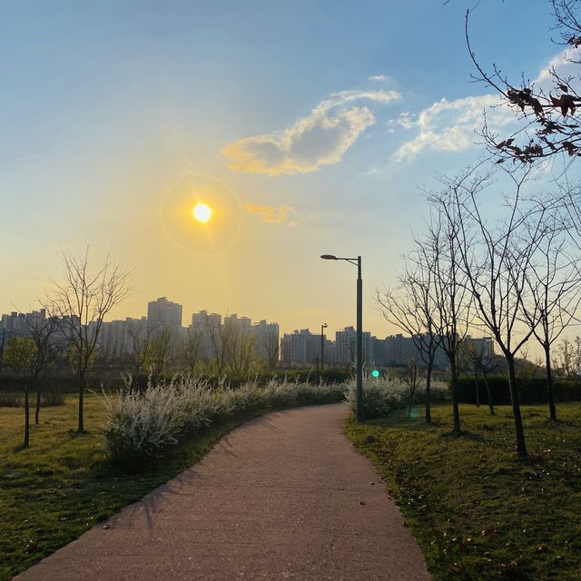 산책하러 가기좋은 공원, 자연을 느낄수 있는 김포핫플🍃
