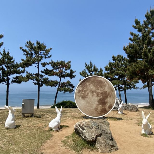 맛으로 멋으로~ 충남 보령 (오천,대천)1박2일 여행
