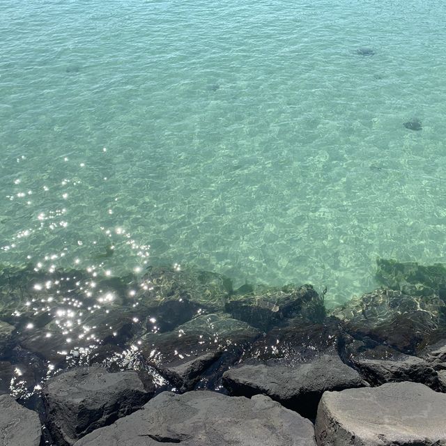 사람 없는 판포포구 가고싶은 사람🙋🏻‍♀️🏝🌴🌊