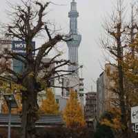 東京暢遊