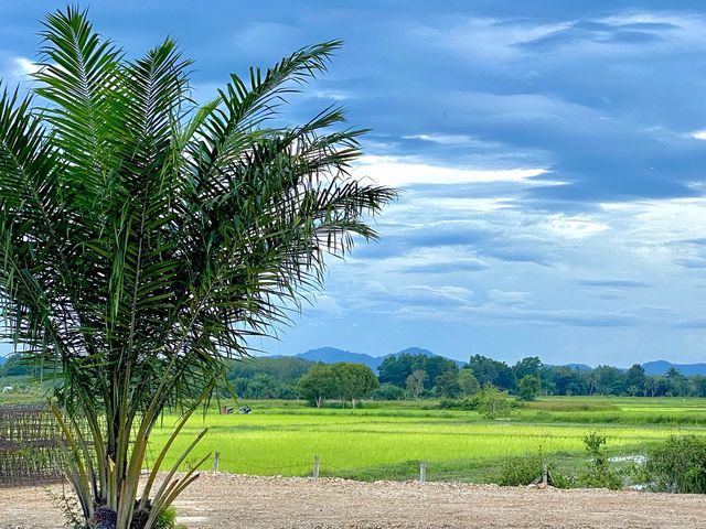 บ้านเกาะทาก จะนะ สงขลา