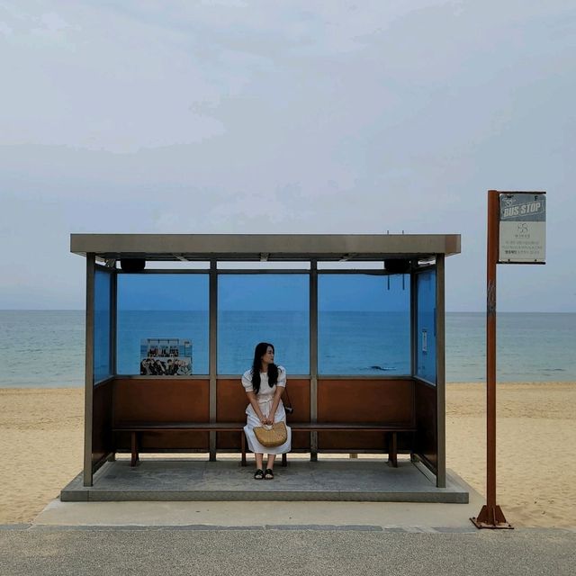BTS앨범사진 촬영지 <BTS버스정류장> 🚎