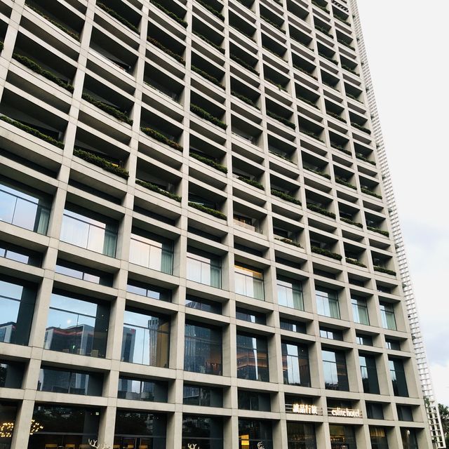 綠意盎然🌳🌿松山文創園區 Songshan Cultural and Creative Park