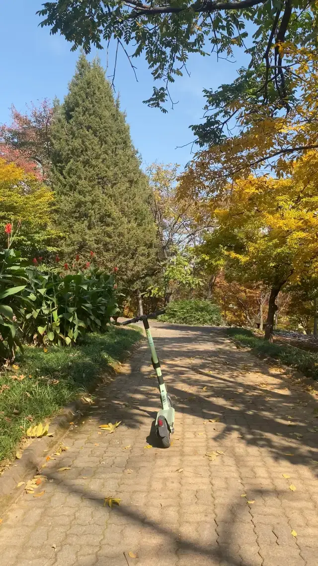 Spectacular Little Forest inside the campus