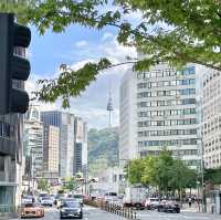 서울 한복판! 잔디에 누워 책 읽을 수 있는 곳!🫧