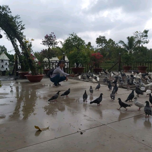 An Giang, Rừng Trà sư