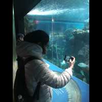 พามาเที่ยว New York Aquarium ค่ะ