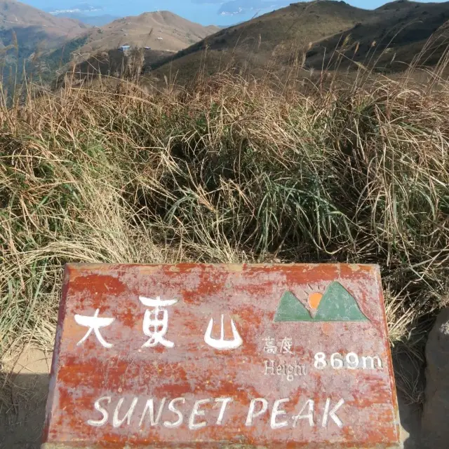 芒草的世界🌾@大東山⛰️