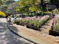 四季を楽しむ、神戸ハーブ園🌿