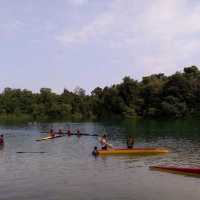 MacRitchie Reservoir