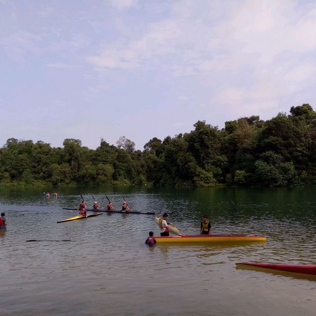 MacRitchie Reservoir