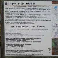 沖縄旅行 さいおん ふうシーサー