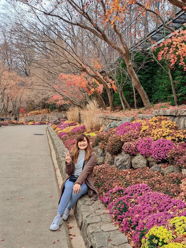 Hwadam Botanic Garden at South Korea 🇰🇷
