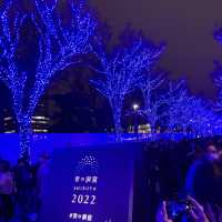 青の洞窟と表参道のイルミネーション💡💡
