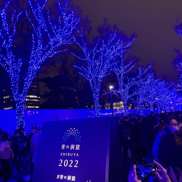 青の洞窟と表参道のイルミネーション💡💡