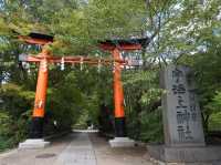 世界最古の神社建築🌟宇治上神社