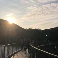 河背水塘