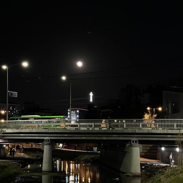 사계절 언제든 걷기 좋은 성북천 산책로