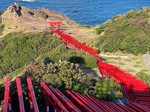 山口観光⛩赤青緑のコントラストが美しい👏👏【元乃隅神社】