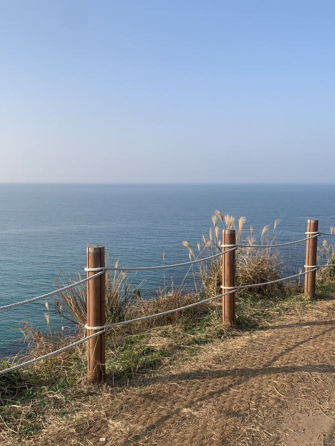 함덕을 바라보다, 서우봉 | 트립닷컴 제주도 트래블로그