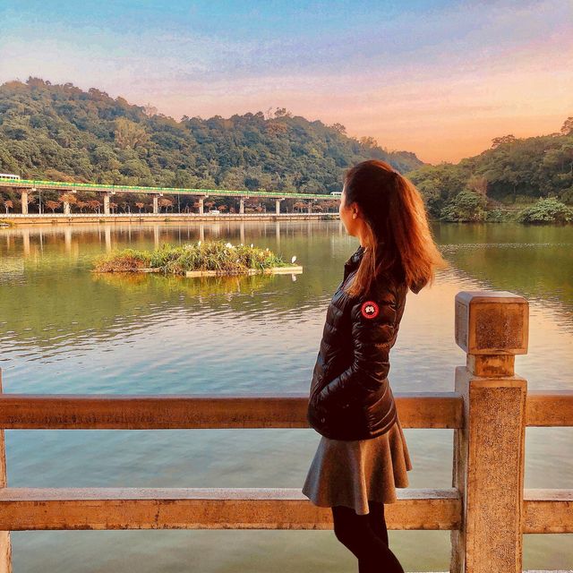 浪漫悠閒好去處💕大湖公園 Dahu Park🦢🕊