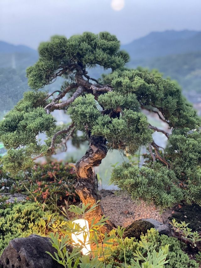 [1인1상] 한옥마을에서 퓨전이탈리아음식 만나보기 