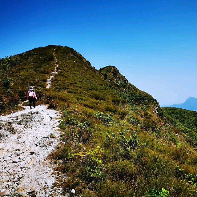 屏風山、黃嶺、八仙嶺