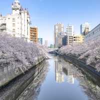 目黒川の太鼓橋からの景色