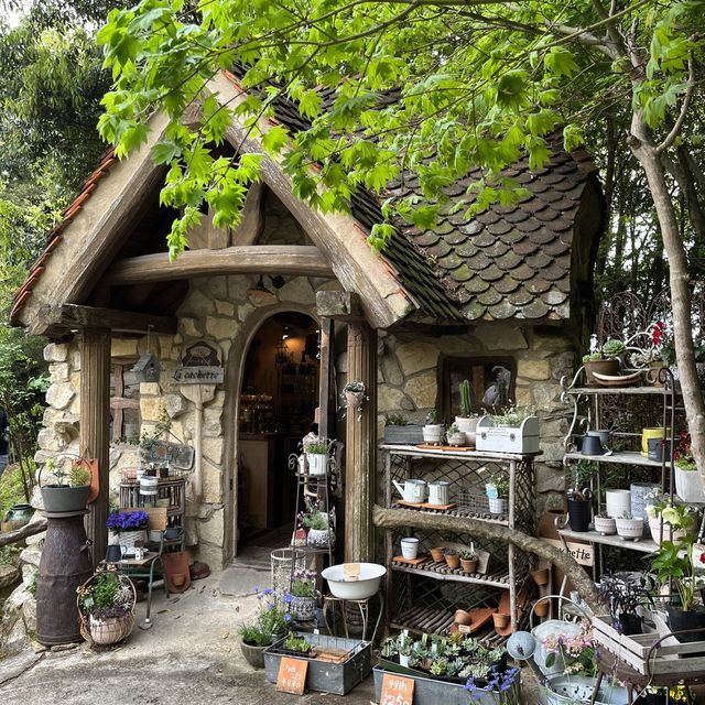 まるでおとぎの国⁉︎ ぬくもりの森🌳