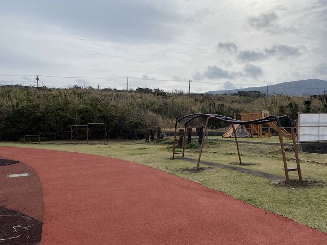 【東京・伊豆大島】仲の原園地