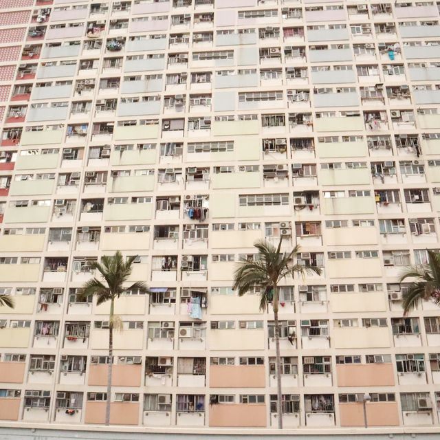 彩虹底下的人🌈