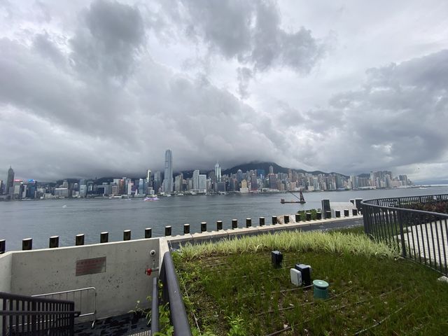 M+博物館天台花園