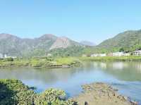 狗嶺涌