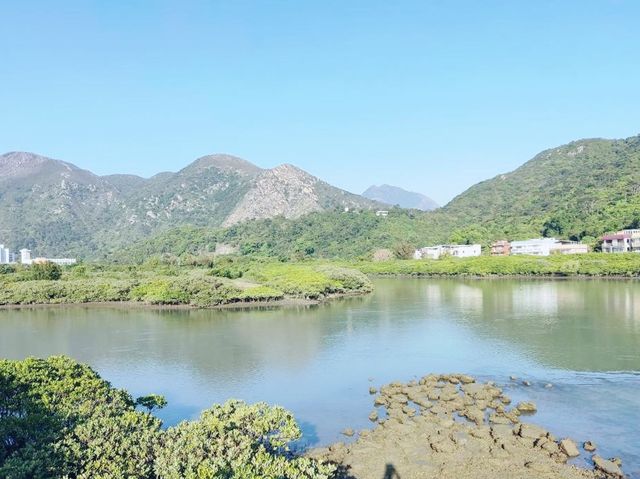 狗嶺涌