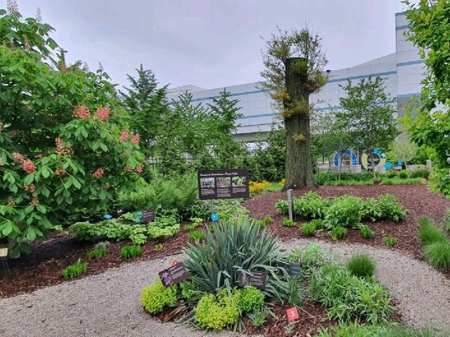 St. Louis Science Center (Outdoor Garden)