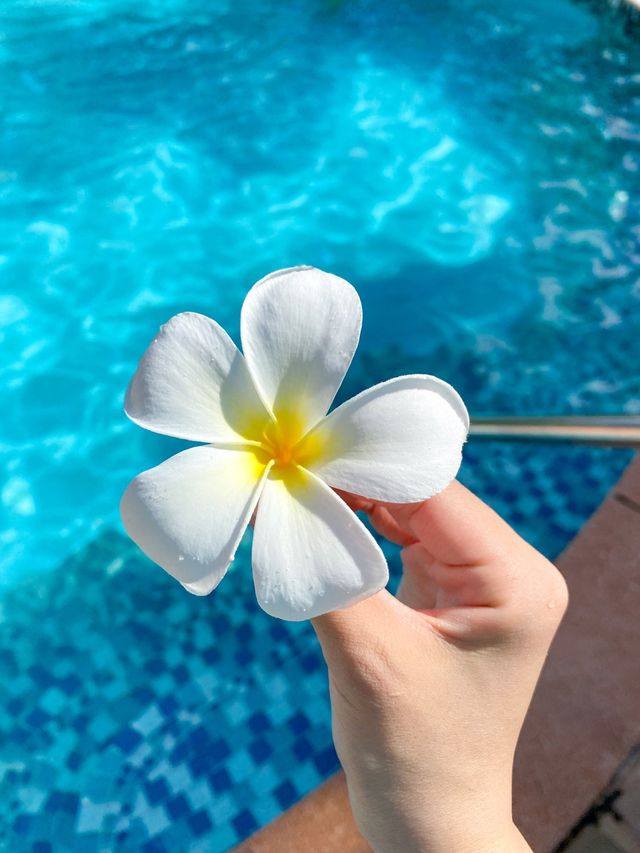 괌에서 수영장이 가장 예쁜 리조트, 두짓비치와 두짓타니🏝🏨