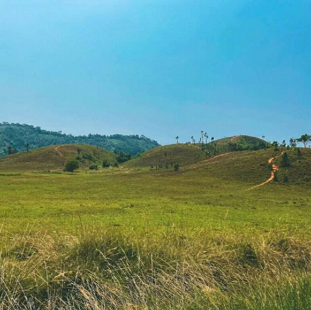🌱🍀☘️ภูเขาหญ้า ความน่ารักของระนอง ที่ต้องห้ามพลาด