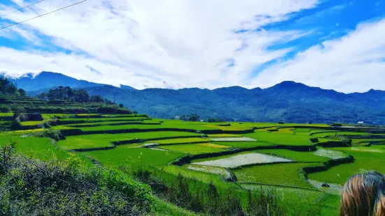 The Sagada Lemon Pie House