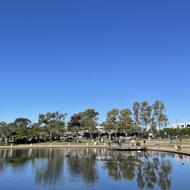 브리즈번 노스레이크 한식당 도마 [Domaa North Lakes]