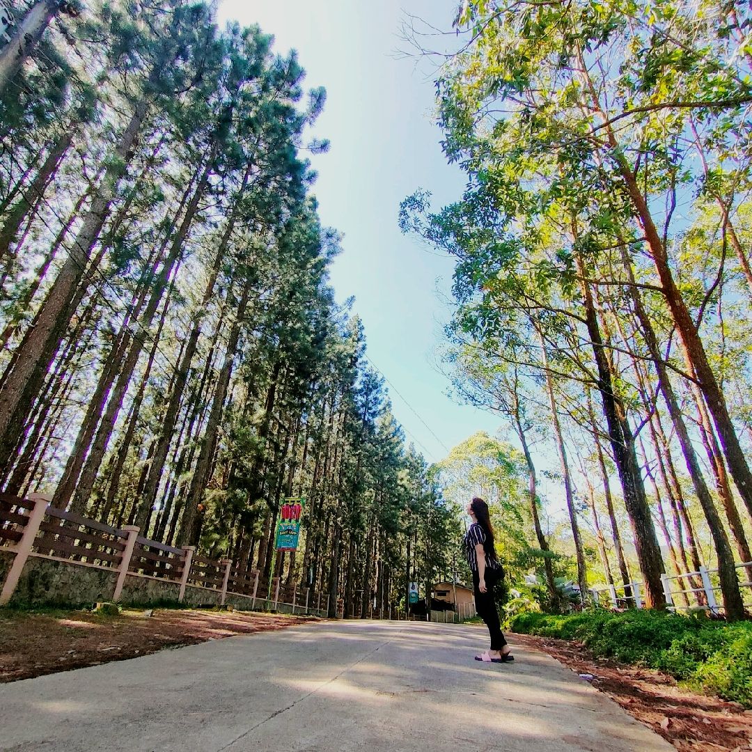 Manolo Fortich Travel Guide 2023 Things to Do, What To Eat & Tips