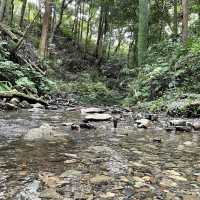 【横浜】ホタルの住む陣ヶ下渓谷公園