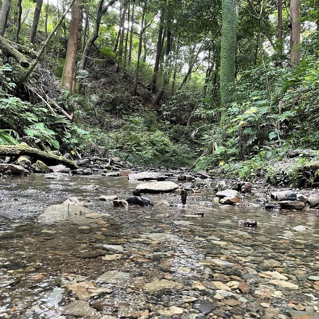 【横浜】ホタルの住む陣ヶ下渓谷公園