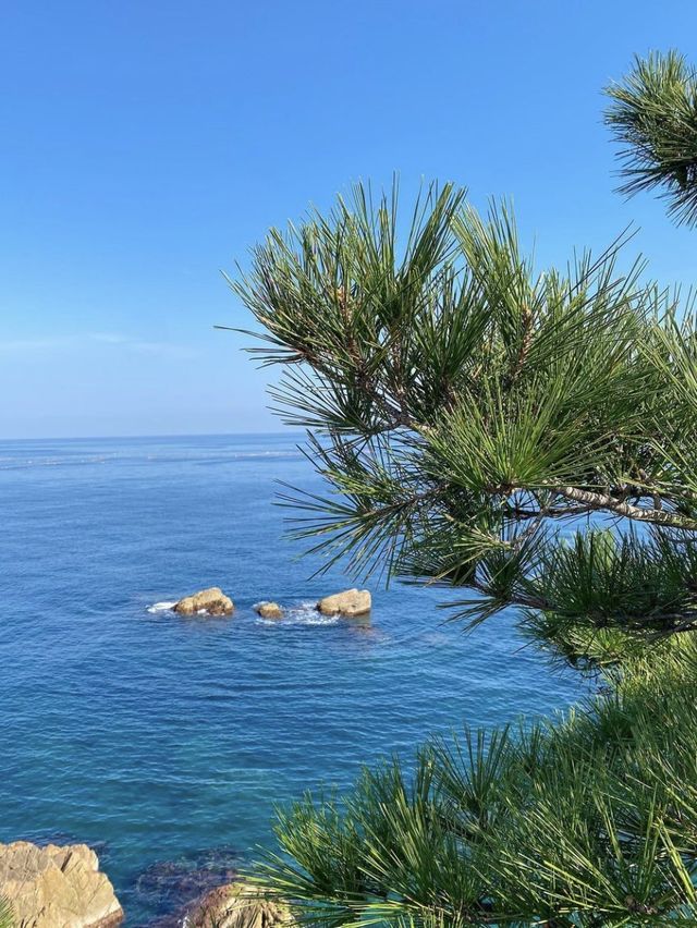 해안 절경을 따라 걷는 삼척 초곡용굴촛대바위길🌊