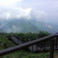 二延平登山步道，位於阿里山隙頂，全長1.1K，途中經過超美的高山茶園，堪稱網美必訪美拍景