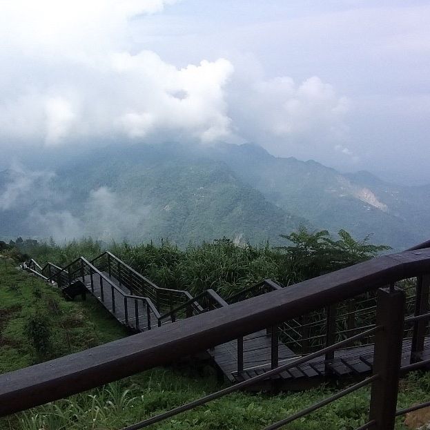 二延平登山步道，位於阿里山隙頂，全長1.1K，途中經過超美的高山茶園，堪稱網美必訪美拍景