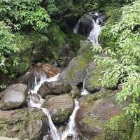 Palshe waterfall Tamini ghat in Pune 