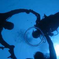 Diving in Nha Trang