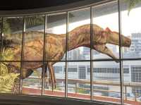 🦕八大．尋龍記🦖
