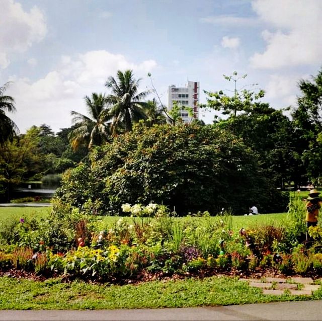 The Singapore Botanic Gardens